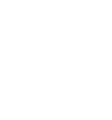 azinec logo